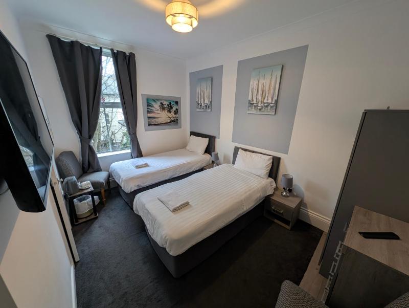 Deluxe Twin Room image 3