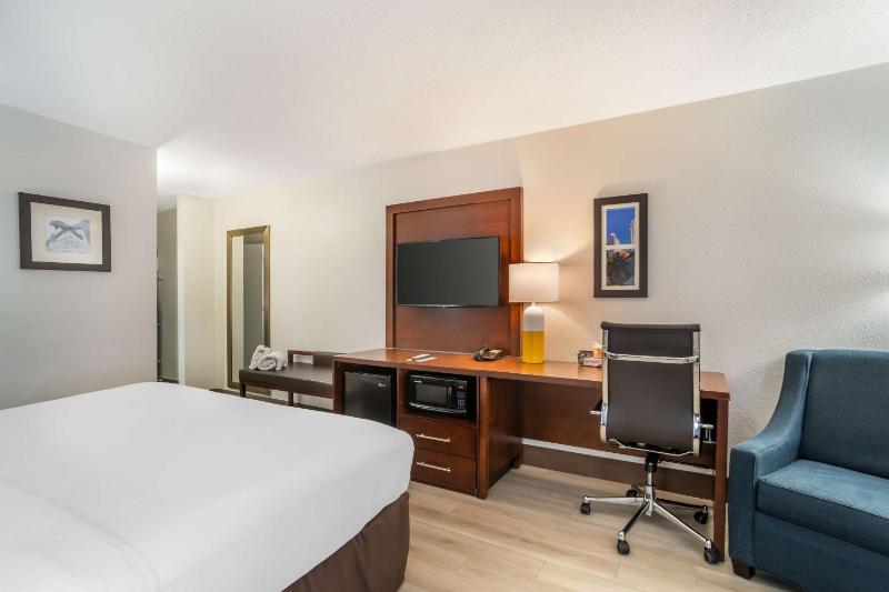 King Room - Accessible/Non-Smoking image 3