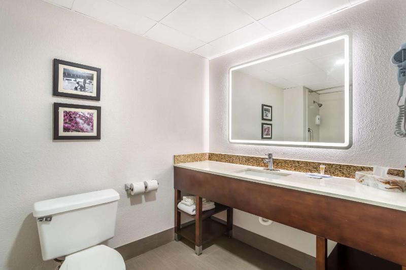 King Room - Accessible/Non-Smoking image 2