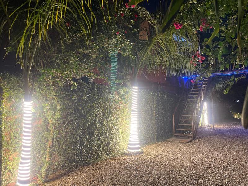 Oxygen Homestay-A Blissful Retreat - image 18