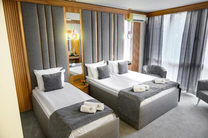 Deluxe Double or Twin Room (Renovated Room) image 1