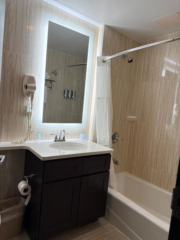 Standard Double Room image 2