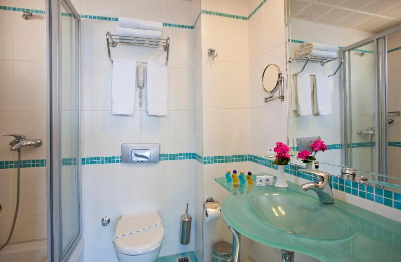 Double or Twin Room image 3