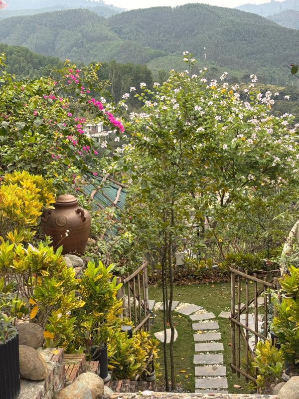 Ivory Villa Resort - image 28