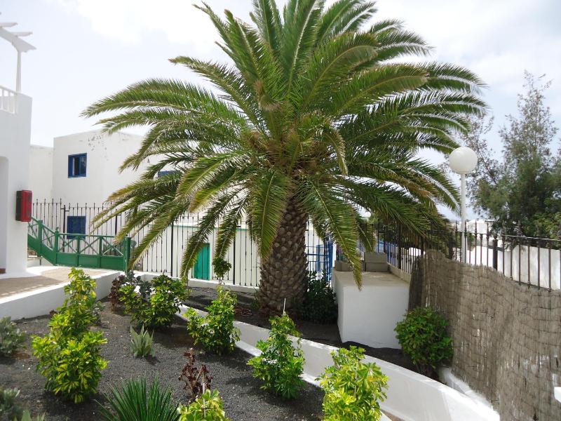 One Bedroom Apartment with Pool View image 3