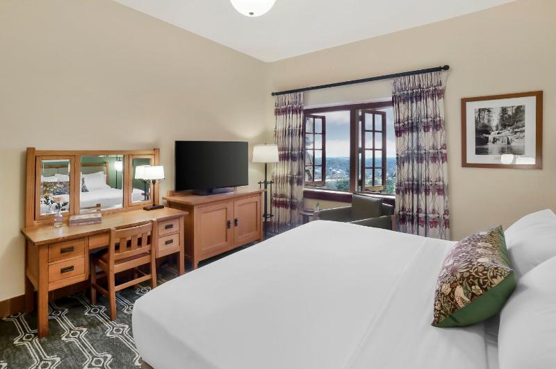Deluxe Mountain View Room 1 King Bed image 3