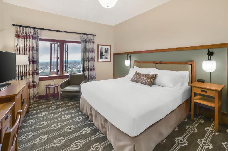 Deluxe Mountain View Room 1 King Bed image 2
