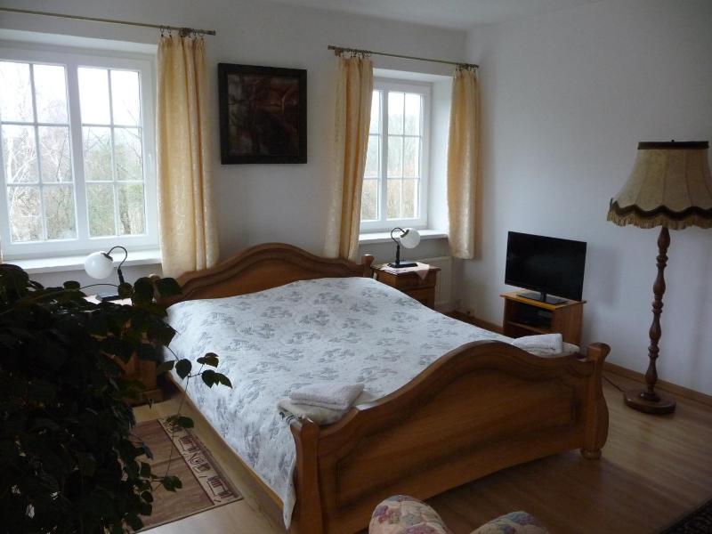 Large Double Room image 4