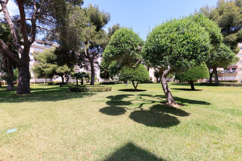 Fabra Apartment - image 27