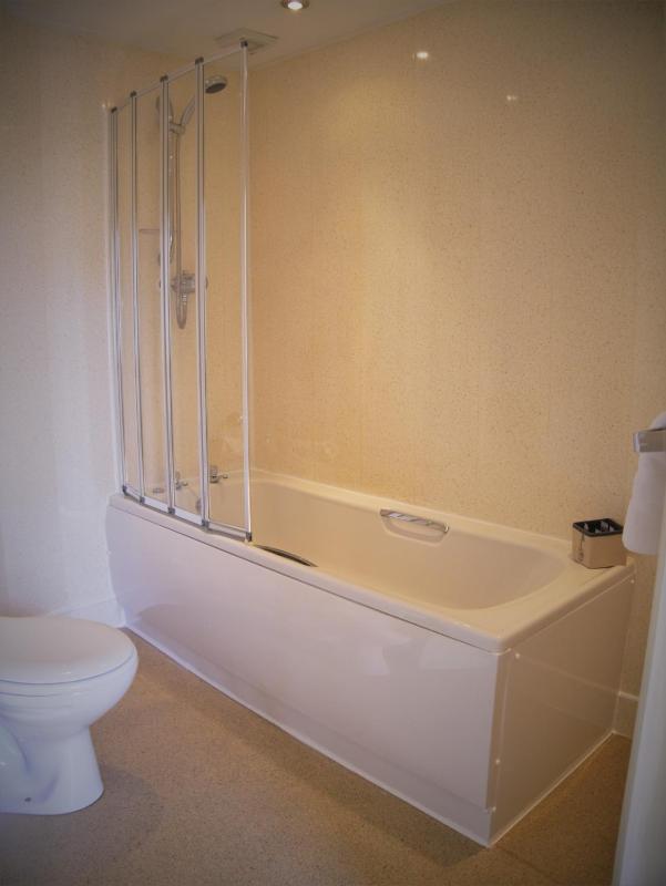 Deluxe King Room image 3