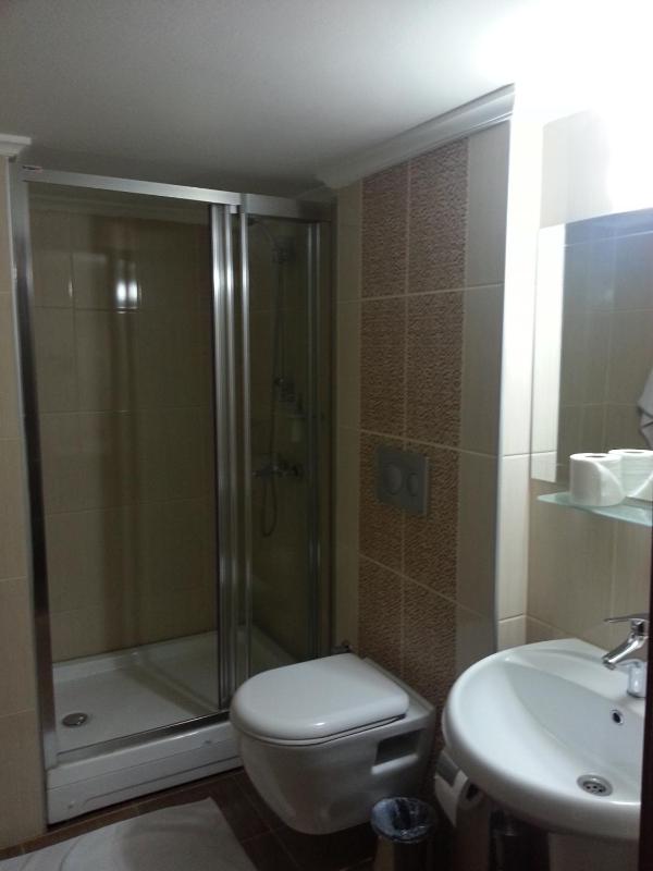 Double or Twin Room image 4