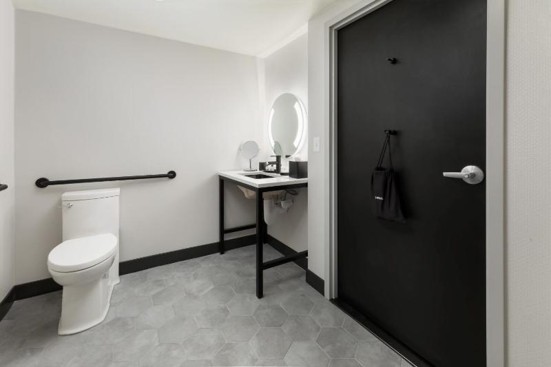 King Interior Accessible Roll-In Shower image 3