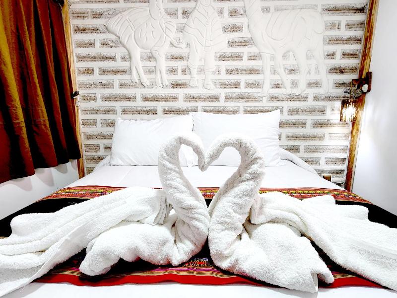 Hotel Sal Andina - image 10