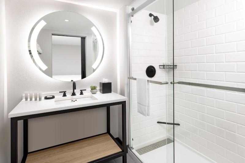 King Interior Accessible Roll-In Shower image 2
