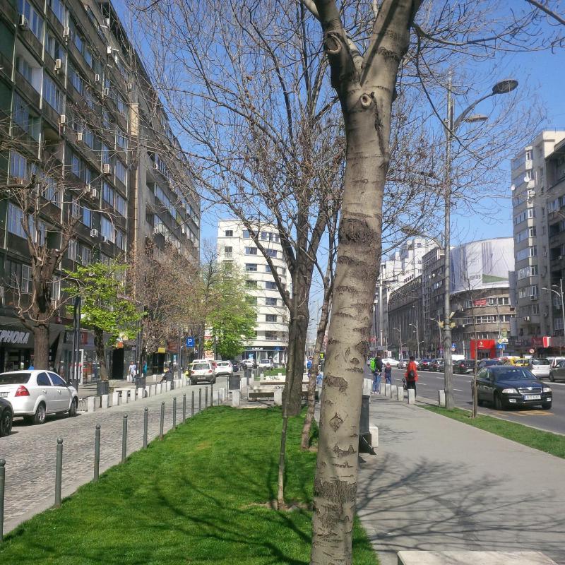 Cozy Apartment near Sephora - image 12