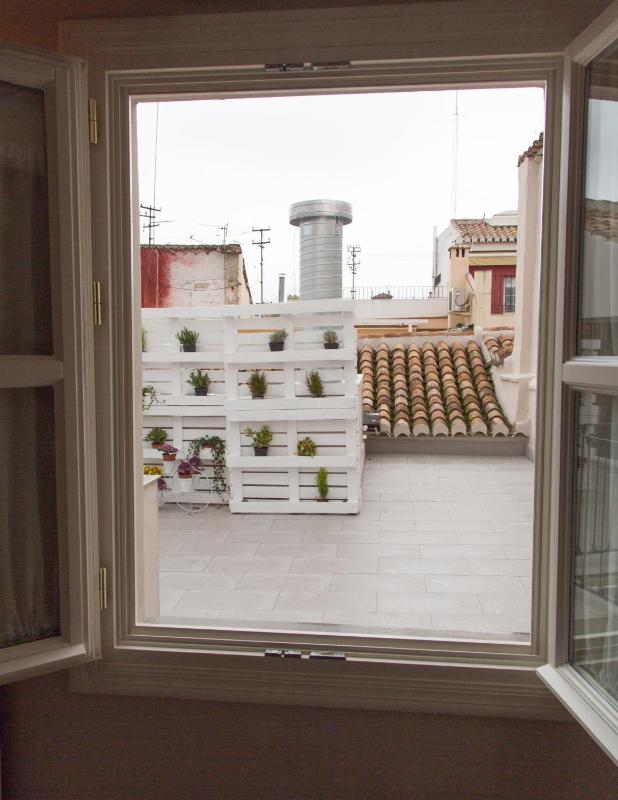 Studio with Terrace image 2