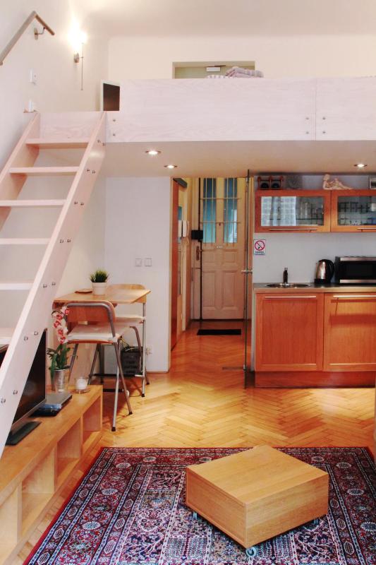 Studio Apartment image 1