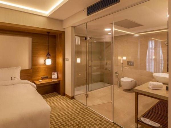 Deluxe Single Room image 4