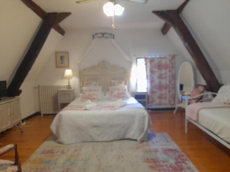 Superior Double Room image 4