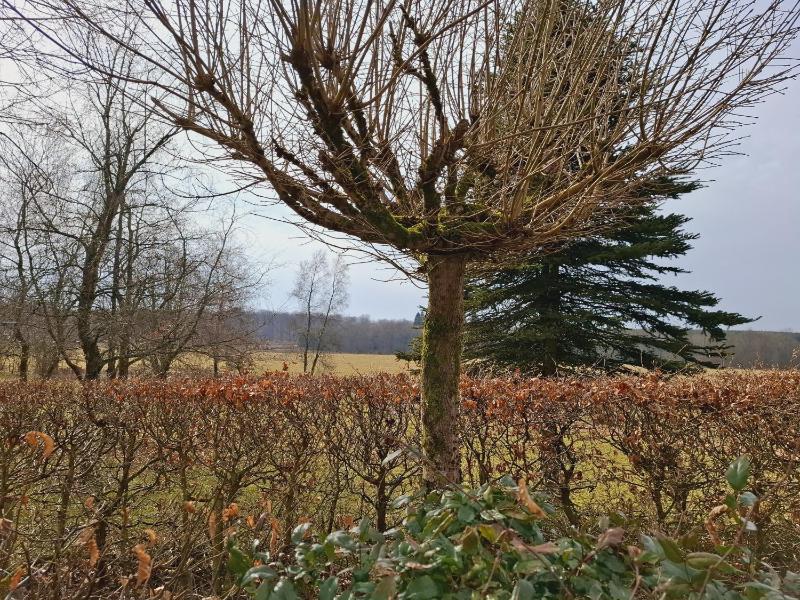 Four-Bedroom Holiday Home image 2