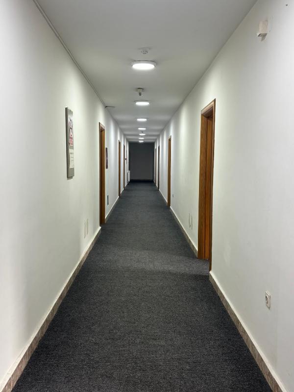 Single Room image 1