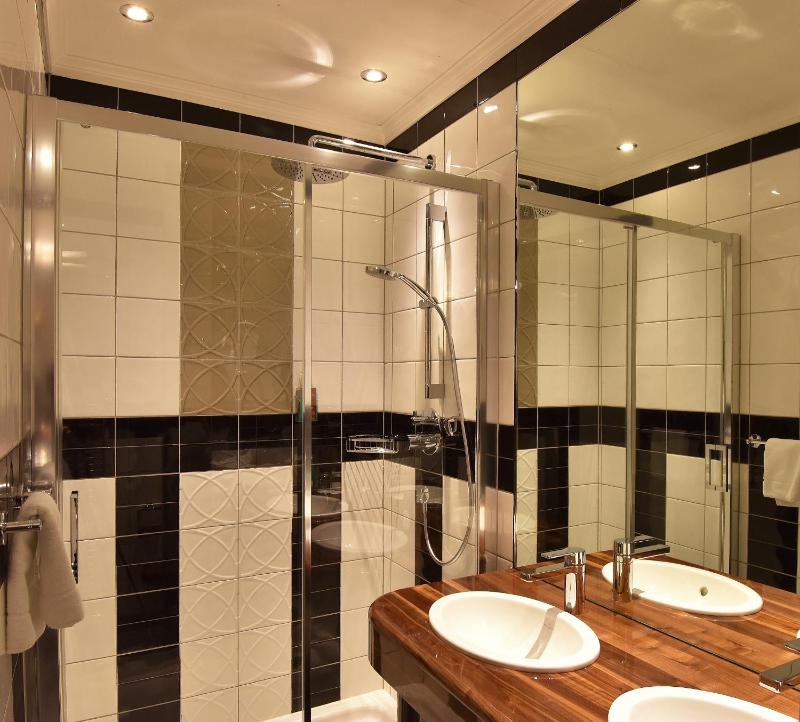 Premium Plus Double or Twin Room - Garden Side image 4