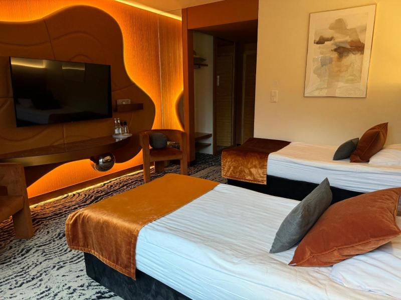 Superior Double or Twin Room image 2