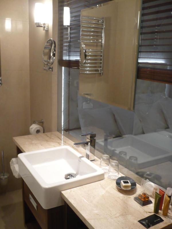 Superior Single Room image 2