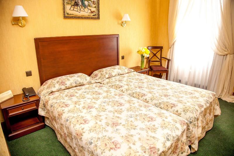 Standard Twin Room image 1