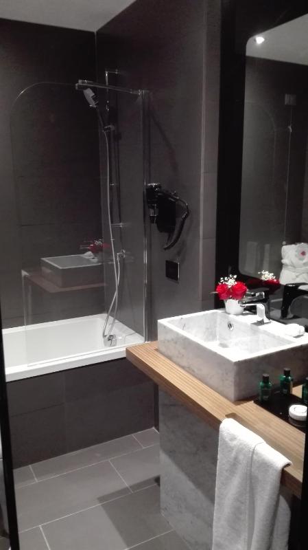 Double or Twin Room image 1