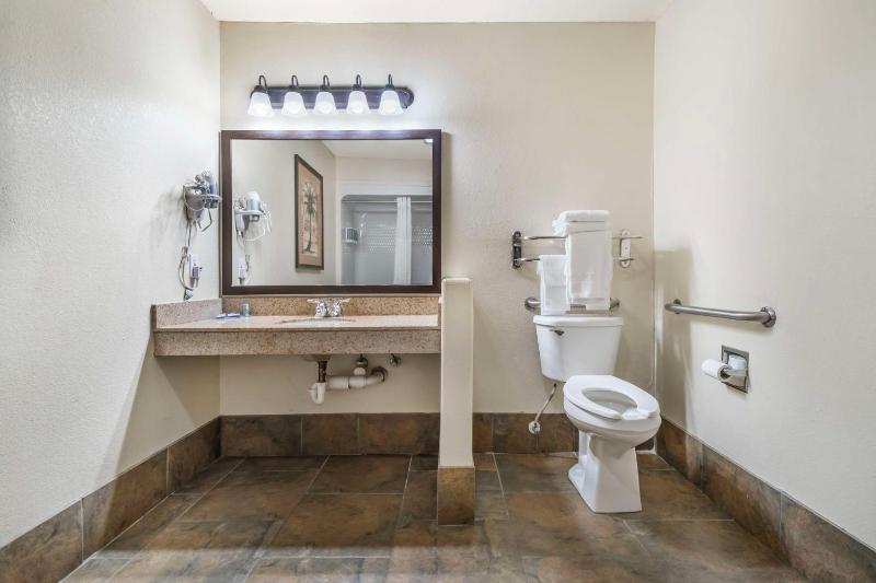 King Room with Roll-In Shower - Mobility Access/First Floor/Non-Smoking image 2