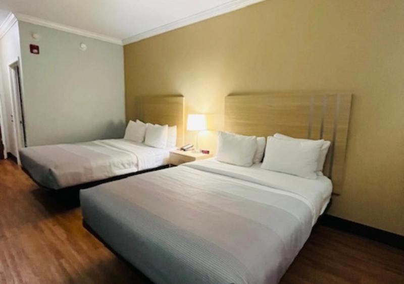 Queen Room with Two Queen Beds - Non-Smoking image 3