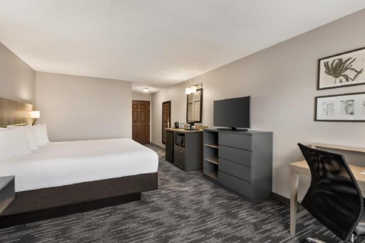 King Room image 1