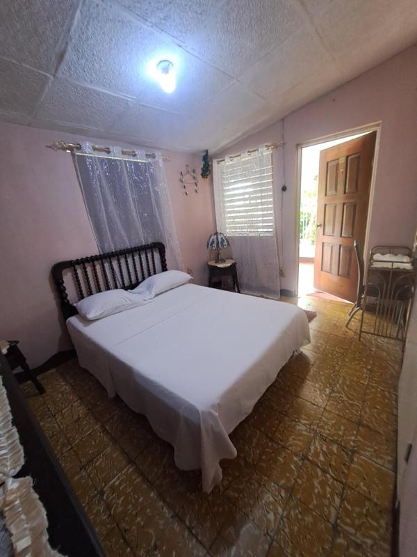 Kingston Airport bed and breakfast - image 14
