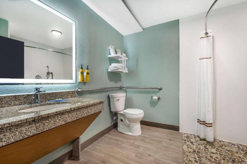 King Room with Sofa Bed and Roll-In Shower - Mobility Accessible image 2