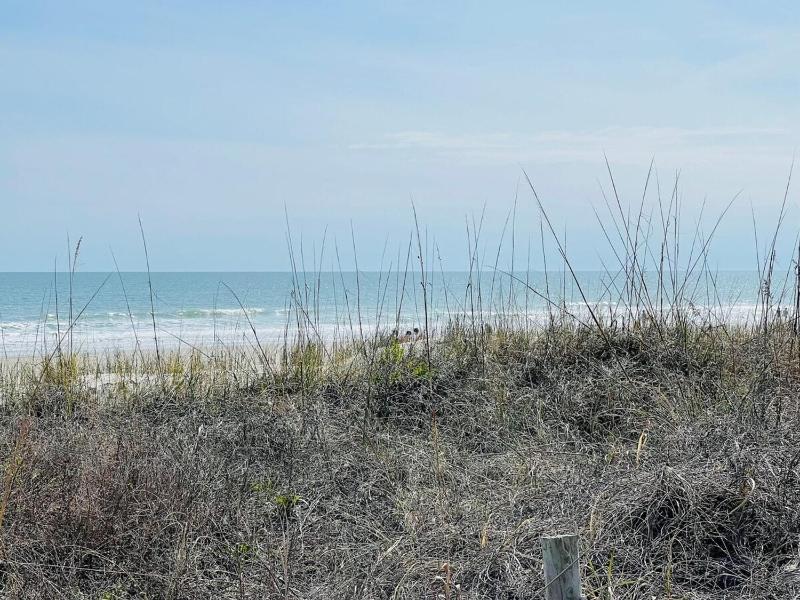 The best location Spacious ocean view 7BR pool - image 39