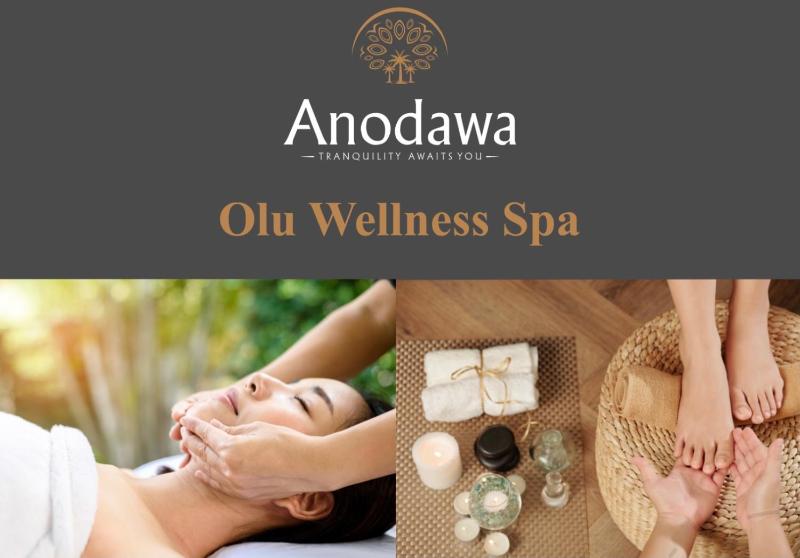 Anodawa Boutique Villa - image 21