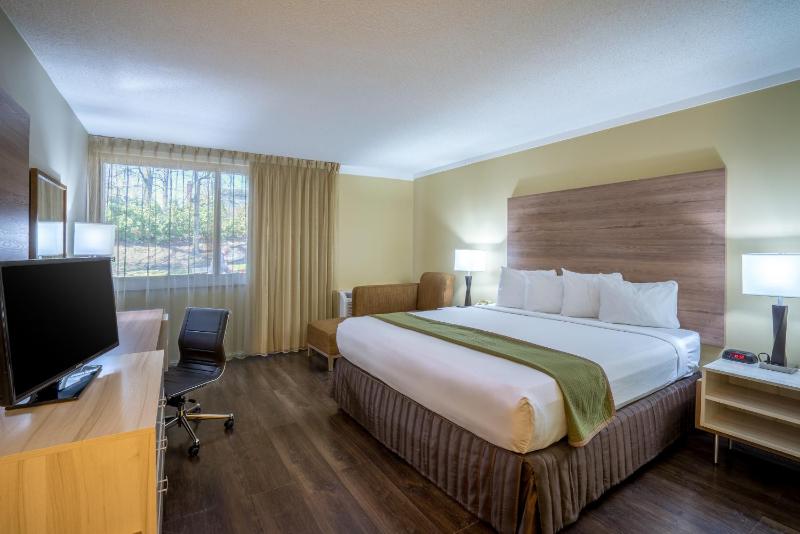 Executive King Room image 3