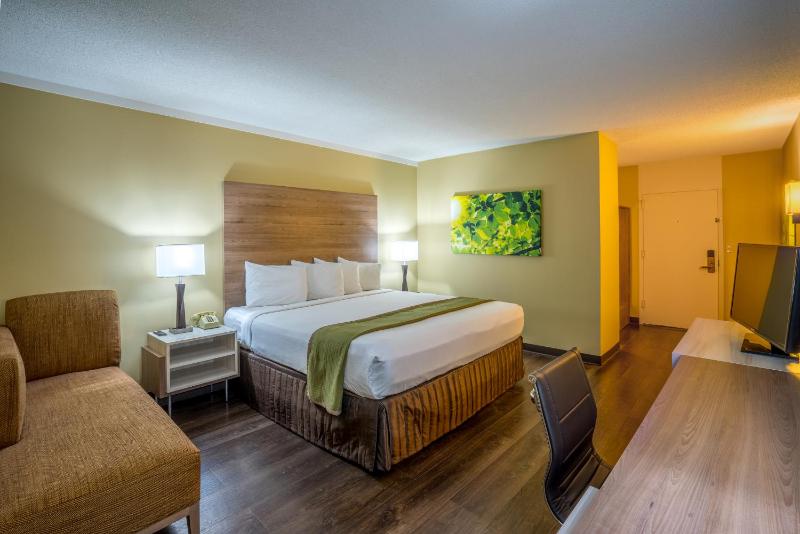 Executive King Room image 2