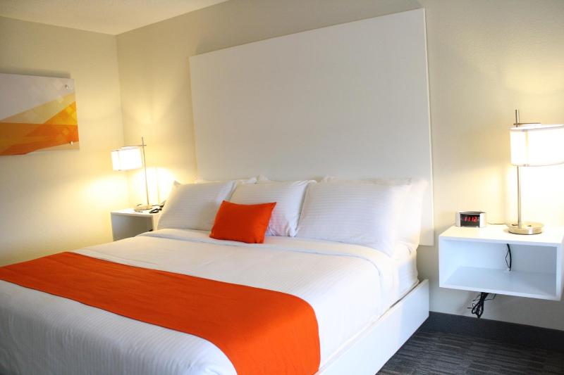 King Room with Roll-In Shower - Accessible/Non-Smoking image 1