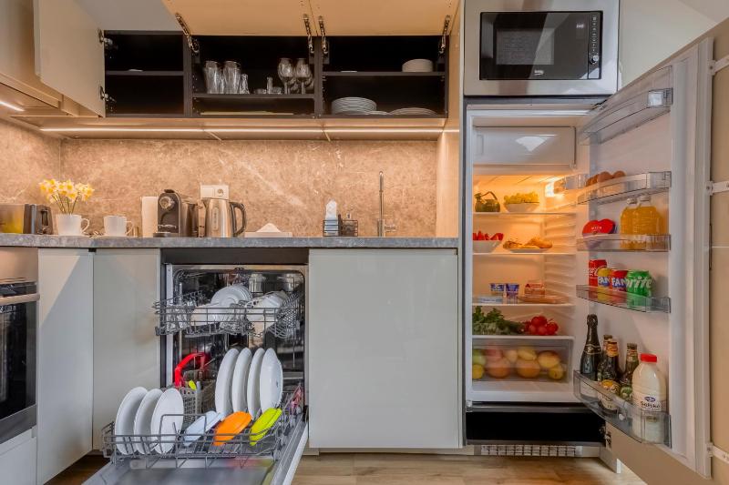 One-Bedroom Apartment image 3