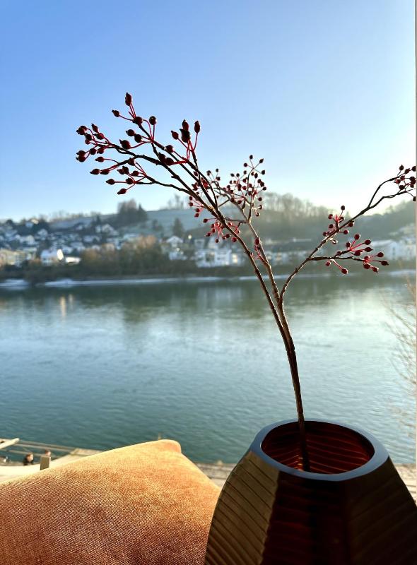 Junior Suite with River View image 4