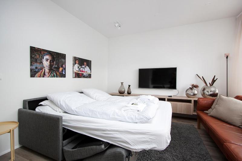 Two-Bedroom Deluxe Apartment image 2