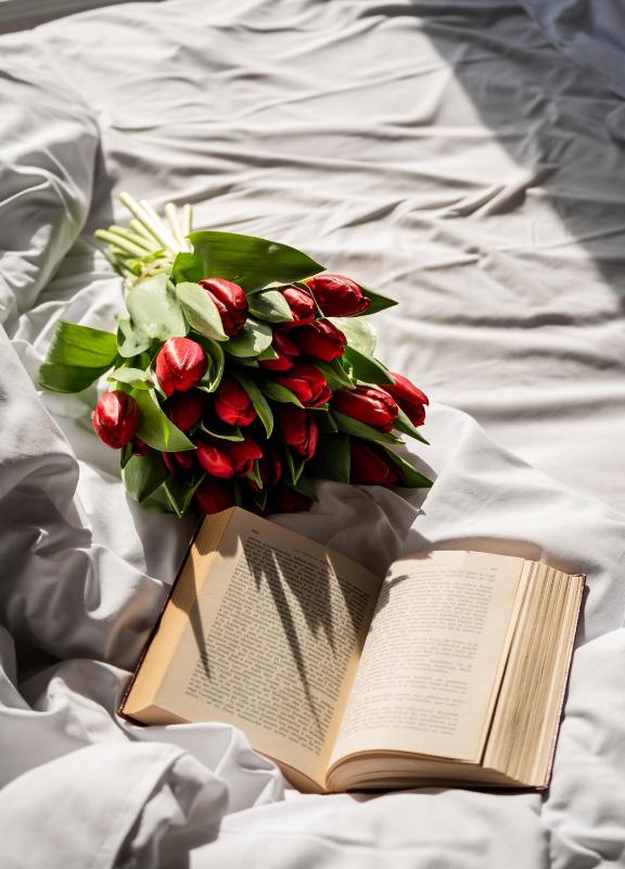 Superior Double Room image 3