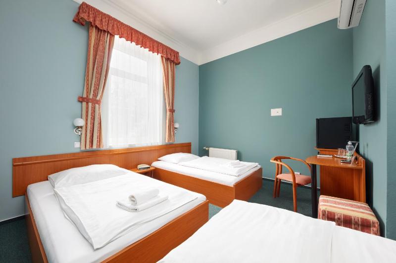 Standard Twin Room image 4