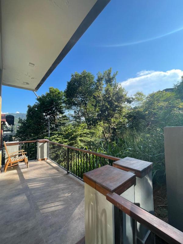 Mount Airy Kandy - image 6