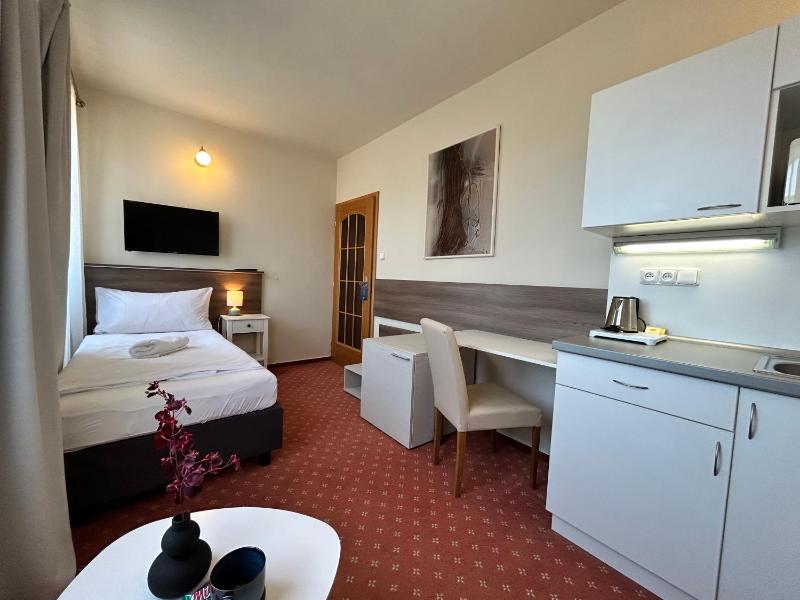 One-Bedroom Single Apartment image 3