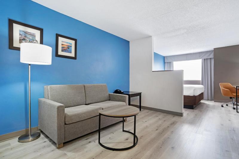 1 King Bed, 2 - Person Sofabed image 3