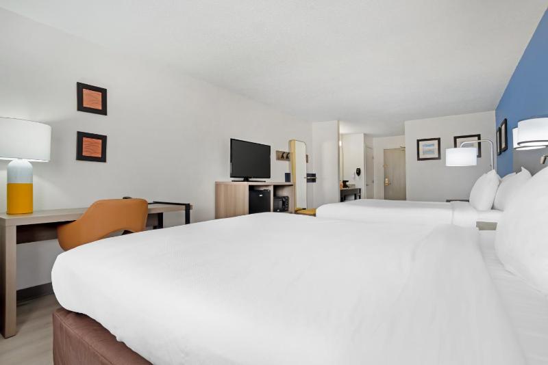 2 Queen Beds, 2 - Person Sofabed image 3