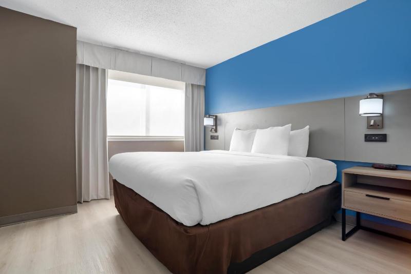 1 King Bed, Suite, 2 - Person Sofabed image 3
